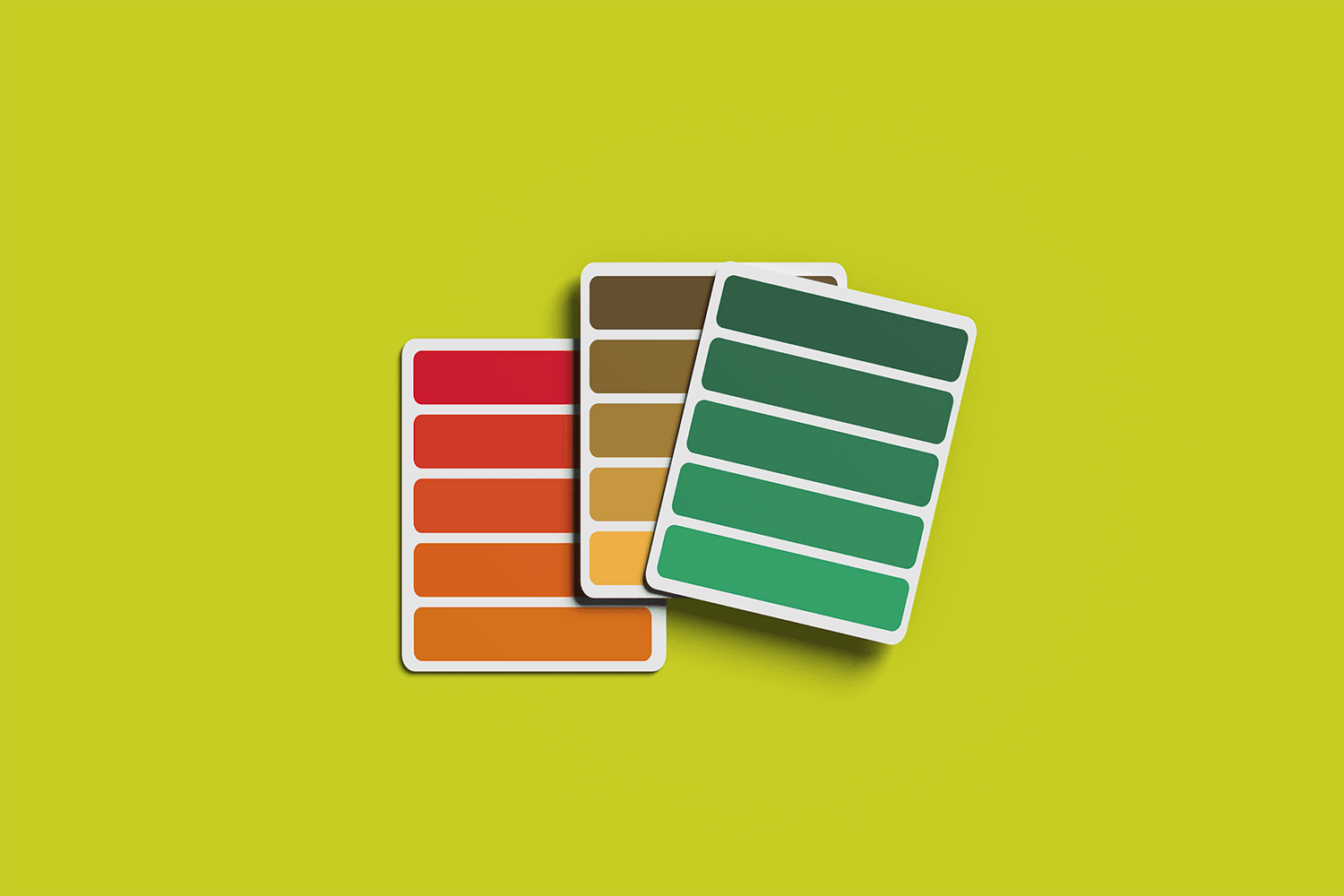 Charte Graphique — visuel 3